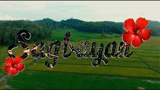 SAGBAYAN - BOHOL CINEMATIC VIDEO