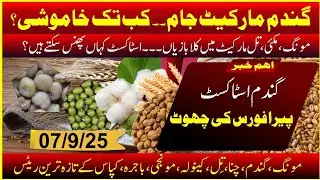 September 7, 2025 wheat updated report today l Moong price in pakistan l Till price l Bajra rate