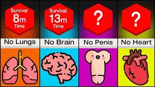 How Long Would You Survive Without Each Organ? - Comparison
