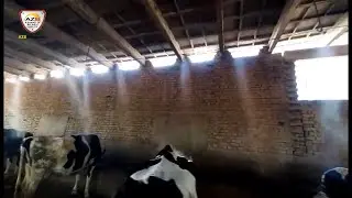 Best Mist Fogger Irrigation System in Pakistan Free installation Cooling System for Dairy Farm