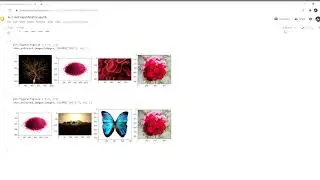 Color Identification using python | Computer Vision | Machine Learning