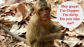Funny orphaned monkey Copper seemed ugly today, Sneezed, and Dirty Face