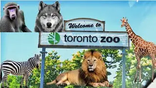Toronto Zoo Vlog/ Biggest Zoo in Canada / CanadaVlog / SummerVlogs