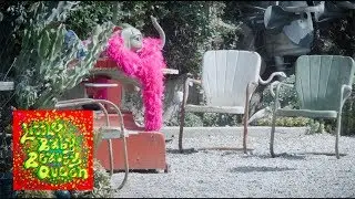 Deap Vally - 