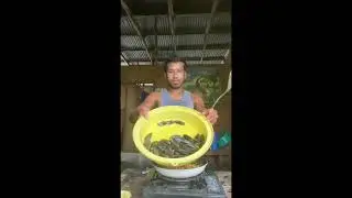 &ldquo;Garlic Butter Tahong Recipe 🦪 | Easy Filipino Seafood Dish&rdquo;