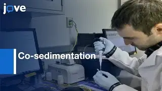 Protein Binding to F-actin Measurement by Co-sedimentation | Protocol Preview
