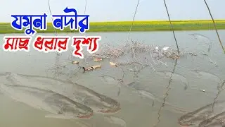 Bangladesh Jamuna River Fishing | আজ যমুনা নদীতে মাছ ধরা হল! #fishing #bangladesh 