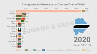 Top 15 Immigrants to Botswana | 1990-2020 | Bar Chart Race | Data Visualisation