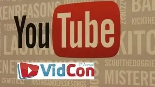 My First VidCon 2013 + Footage & Pics!