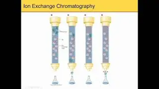 BIO 372 Cell Biochemistry Chapter 5 Protein Purification and Characterization Techniques