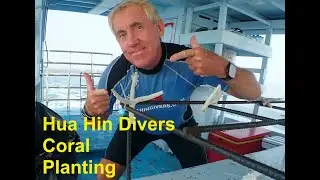 Hua Hin Divers Coral Conservation