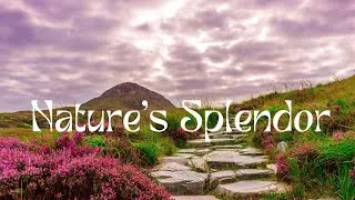 Nature's Splendor - Scenic Relaxation videos of Beautiful Nature - Relaxing Music |#nature #youtube