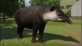Тапир Бэрда (или Tapirus bairdii) #животное #дикая природа #кокопа