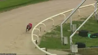 Hove Greyhound Trials 22/12/25