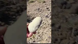 Discovering a Native American Artifact in the Desert  #lasvegas #nativeamerican #discovery