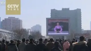 Pyongyang celebrates satellite launch with parade and fireworks.