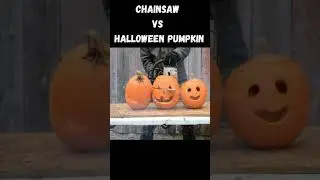 Chainsaw vs Halloween Pumpkin Experiment