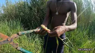 “Bamboo Crafting 101: Cutting Bamboo Clean with a Chisel”