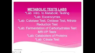 Metabolic Tests Lab