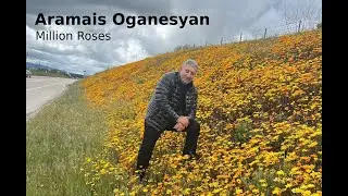 Million Roses (Russian Song) Aramais Oganesyan