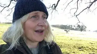 Amy-Jane Beer from Castle Howard