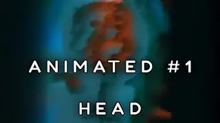 ANIMATED #1 : HEAD