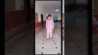 SHEHZAADA