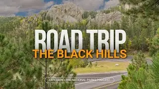 29: The Black Hills (Wind Cave, Custer State Park, Jewel Cave, and more!)