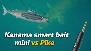 My First Time Using The Kanama Smart Bait Mini Zombie Lure