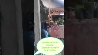 Mawar Bodas-ERPAS.