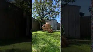 Real Life Ben 10 Transformation - Wildmutt