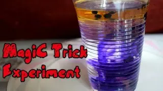 Simple And Easy Magic experiment with Balloon #shorts#viral#funny#science #technology