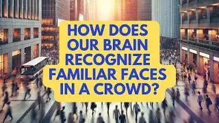 🧠 How Your Brain Recognizes Faces in a Crowd  The Science of Facial Recognition