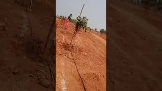 Angadipeta Village Contact No 9553041099.