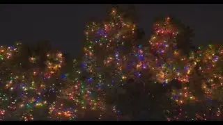 WATCH LIVE: UIW&rsquo;s annual &lsquo;Light the Way&rsquo; festival