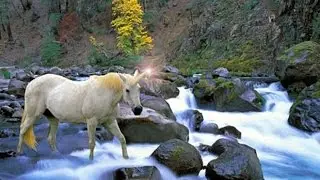 Unicorn Lair Discovered In North Korea