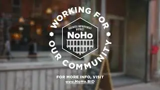 NoHo Neighborhood Spotlight - The Evolution Store