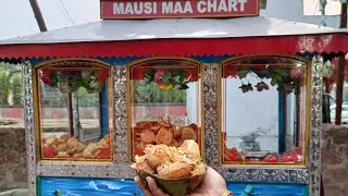 Mouthwatering Gupchup and Papdi Chaat | Angul Food Tour #panipuri #papdichaat #odia #foodblogger
