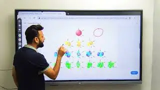 coloured ions formation by transition elements