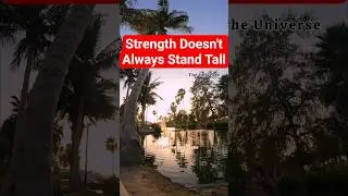 True strength isn&rsquo;t about standing tall all the time #positivevibeskarnataka #healingjourney #heal