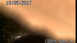 W313373 1 PATEL  218105