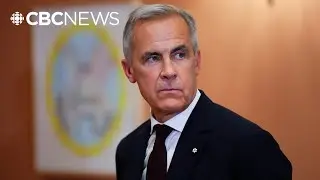 Canada officially recognizes the state of Palestine: Prime Minister Mark Carney