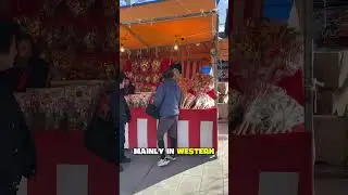 The Best Way to Watch a 🇯🇵Festival