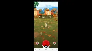 Morpeko Onesie Premium Timed Research