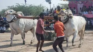 వావిలాల న్యూ కేటగిరి బండలాగుడు విభాగం 4వ జత పృథ్వి యాదవ్ చౌదరి గూడెం