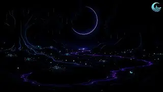 [Sleep] [No Ads] Fall Asleep Fast • Calm Ocean Waves • Soothing Relaxation & Stress Relief
