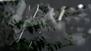 Anil Rai - Unknown Acoustic Inst.