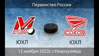 Металлург ЮХЛ - Сокол ЮХЛ г.Красноярск (12.11.2022)