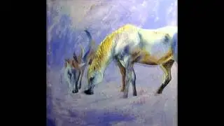 manuel peris caballos video 19 segundos