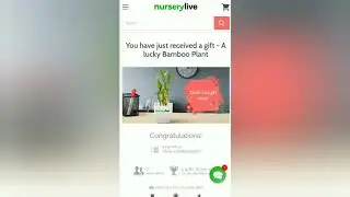 Nurserylive - Participate in a Free Plant Giveaway Using Link in the Description